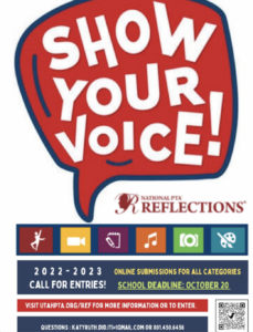 Show your Voice! PTA Reflections